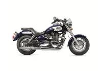 Tutte le parti originali e di ricambio per il tuo Triumph America Carburettor 790 2002 - 2007.
